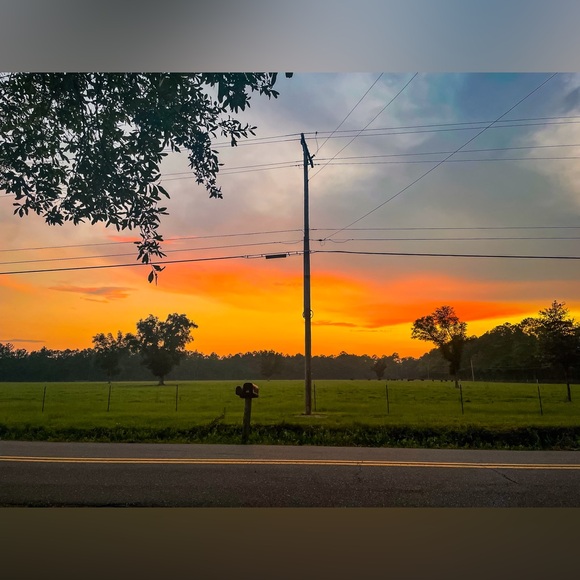 Meet your Posher, Kris🙋🏻♀️ - Picture 17 of 17